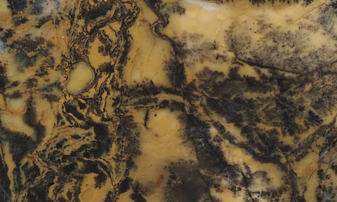 Yellow Feather Jasper Rock Slab 179