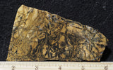 Yellow Feather Jasper Rock Slab 179