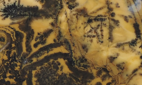 Yellow Feather Jasper Rock Slab 183