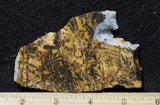 Yellow Feather Jasper Rock Slab 183