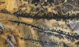 Yellow Feather Jasper Rock Slab 195