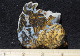 Yellow Feather Jasper Rock Slab 184