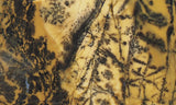 Yellow Feather Jasper Rock Slab 190