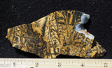 Yellow Feather Jasper Rock Slab 190