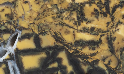 Yellow Feather Jasper Rock Slab 169