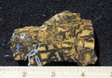 Yellow Feather Jasper Rock Slab 169