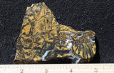 Yellow Feather Jasper Rock Slab 196