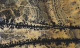 Yellow Feather Jasper Rock Slab 186