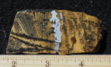 Yellow Feather Jasper Rock Slab 170