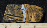 Yellow Feather Jasper Rock Slab 170
