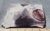 Hyacinth Porcelain Jasper Rock Slab 444