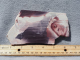 Hyacinth Porcelain Jasper Rock Slab 443