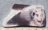 Hyacinth Porcelain Jasper Rock Slab 442