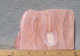 Australian Pink Opal Rock Slab 465