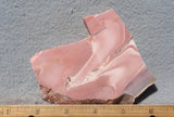Bargain Bin F Slab 237