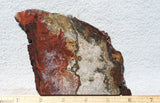 Mexican Crazy Lace Agate Rock Slab 437