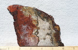 Mexican Crazy Lace Agate Rock Slab 437