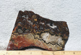 Mexican Crazy Lace Agate Rock Slab 396