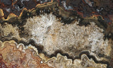 Mexican Crazy Lace Agate Rock Slab 396
