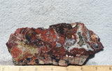 Mexican Crazy Lace Agate Rock Slab 489