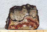 Mexican Crazy Lace Agate Rock Slab 392