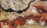 Mexican Crazy Lace Agate Rock Slab 392