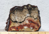 Mexican Crazy Lace Agate Rock Slab 392