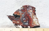 Mexican Crazy Lace Agate Rock Slab 461