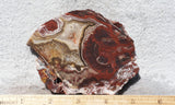 Bargain Bin F Slab 209