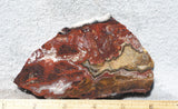 Mexican Crazy Lace Agate Rock Slab 479