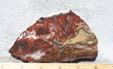 Mexican Crazy Lace Agate Rock Slab 479