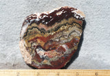 Mexican Crazy Lace Agate Rock Slab 388