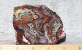 Mexican Crazy Lace Agate Rock Slab 484