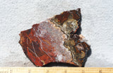 Mexican Crazy Lace Agate Rock Slab 474