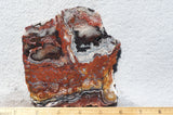 Bargain Bin F Slab 181