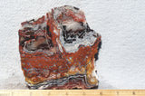 Bargain Bin F Slab 181