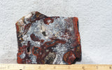 Mexican Crazy Lace Agate Rock Slab 482
