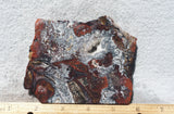 Mexican Crazy Lace Agate Rock Slab 399