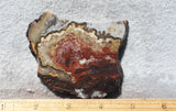 Mexican Crazy Lace Agate Rock Slab 400