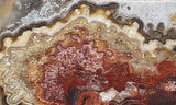 Mexican Crazy Lace Agate Rock Slab 400