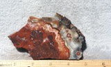 Mexican Crazy Lace Agate Rock Slab 438