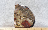 Mexican Crazy Lace Agate Rock Slab 390