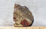 Mexican Crazy Lace Agate Rock Slab 390