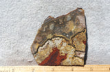 Mexican Crazy Lace Agate Rock Slab 439
