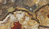 Mexican Crazy Lace Agate Rock Slab 439