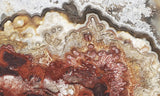 Mexican Crazy Lace Agate Rock Slab 457