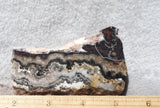 Mexican Crazy Lace Agate Rock Slab 389