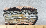Mexican Crazy Lace Agate Rock Slab 439