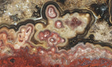 Mexican Crazy Lace Agate Rock Slab 449