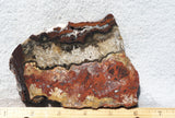 Mexican Crazy Lace Agate Rock Slab 471